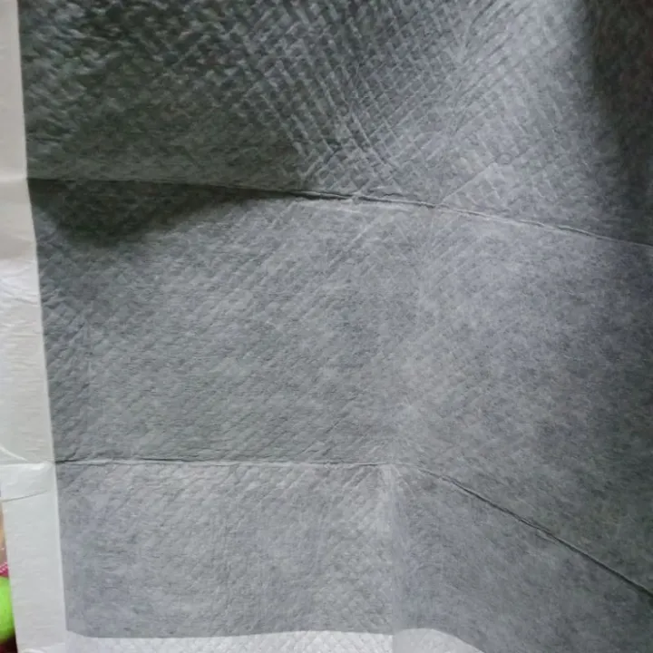 10pcs Potty Training Pads Charcoal/Carbon per pack Lazada PH