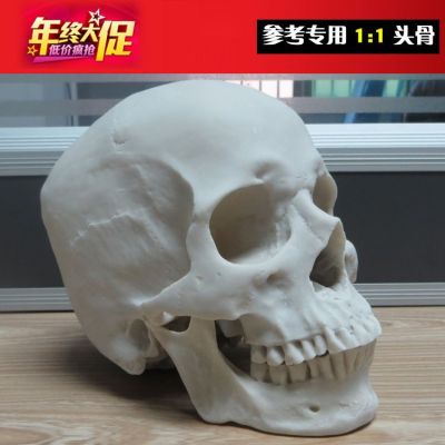 Skull 1:1 resin skulls painting art in human body art spot musculoskeletal anatomy of the skull model