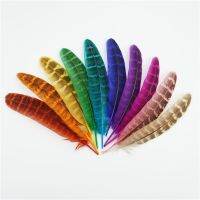 Wholesale10-15cm Female Pheasant Feathers Jewelry Creation Colored Handicraft Accessories Plumas Decorations