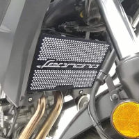 สำหรับ Benelli Leoncino 250 Leoncino250 2019 2020 Motorccyale อุปกรณ์เสริม CNC หม้อน้ำ Grille Grill Guard ป้องกัน Perfect