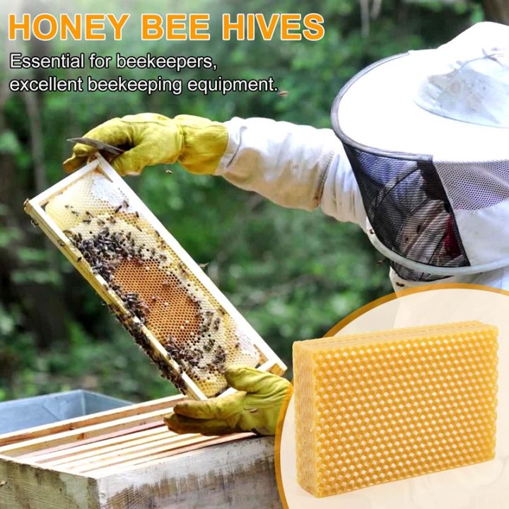 30pcs-honeycomb-foundation-bee-wax-foundation-sheets-paper-candlemaking-beeswax-flakes-beekeeping-tool