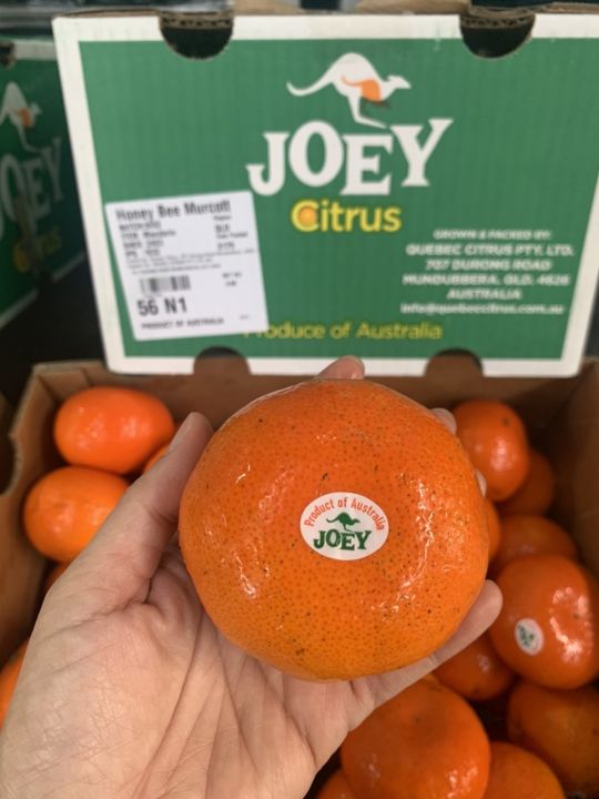 ส้ม-ส้มแมนดาริน-ออสเตรเลีย-ตราจิงโจ้-joey-กล่องเขียว-aus-56-64-ลูก-ลัง-นำเข้าจากออสเตรเลีย-น้ำหนักชั่งรวมลังประมาณ-9-กิโลกรัม