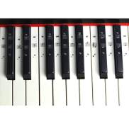 Bộ Đề Can Phím Đàn Piano LazaraSport 2 Bộ Phụ Tùng Dụng Cụ Cho Người Mới