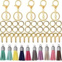 65Pcs/Set Keychain with Key Rings Jump Rings Eye Pin Colorful Tassel Epoxy Resin Pendants for DIY Jewelry Making Accessories Key Chains