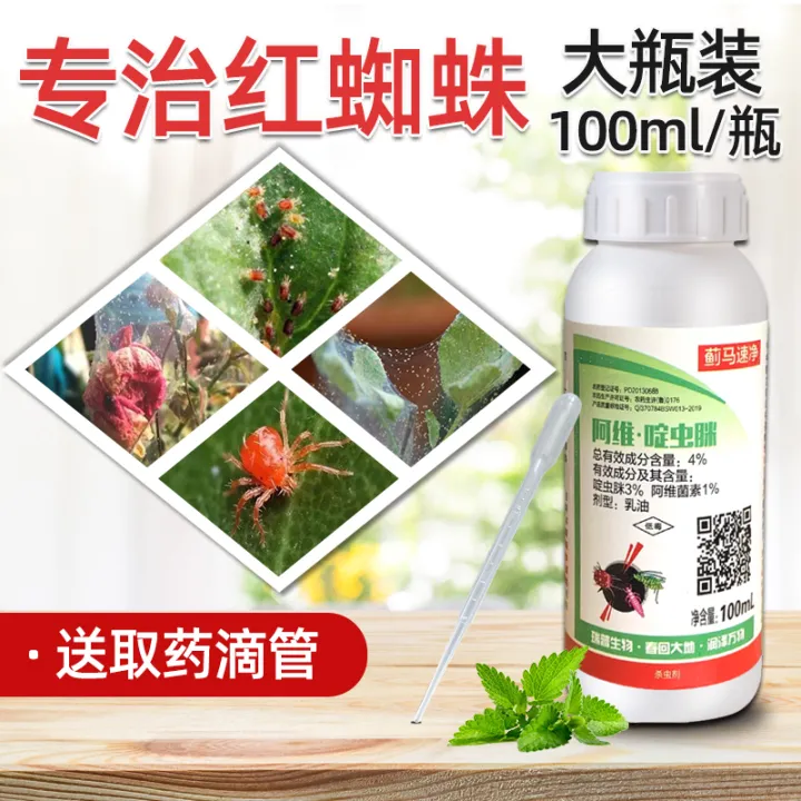 Special medicine for red spiders succulent roses potted plants anthers ...