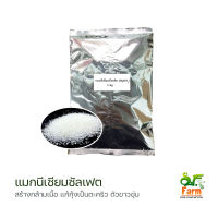 แมกนี่เซียมซัลเฟต MgSO4 Magnesium Sulfate ดีเกลือฝรั่ง 1 กิโลกรัม เพิ่มแร่ธาตุในบ่อเลี้ยงสัตว์น้ำ และ พืชไร่การเกษตร เอสเอฟฟาร์ม