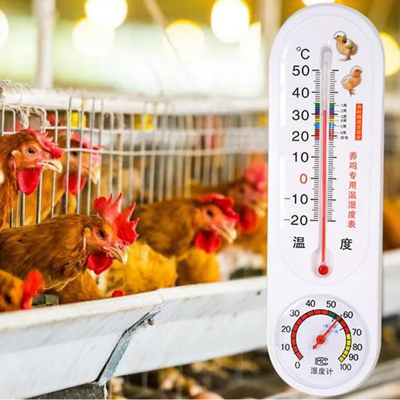 2Pcs Gamefowl Rooster U.S.A Brand Incubator Thermometer High
