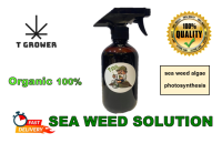 Sea Weed Solution สารละลายช่วยการสังเคราะห์แสง และเพิ่มสารอาหารพืชทางใบ by T Grower