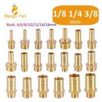 Brass Pipe Fitting 6/8/10/12/14/16mm Hose Barb Tail 1/8 3/8 1/4 BSP Male Connector Joint Copper Coupler Adapter