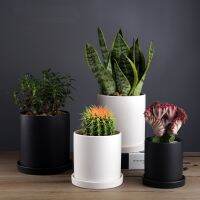 1pc Nordic Style Black and White Matt Ceramic Succulent Orchid Pot With Tray Planter Holder Flower Pot Hole in the Bottom