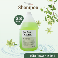 แชมพูเนื้อใสแกลลอน เพอร์เฟค เคลียร์ 3.8 ลิตร [Perfect Clear Shampoo] สำหรับโรงแรม รีสอร์ท สปา และห้องพักในอพาร์ทเม้น