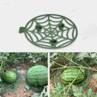 2pcs 5pcs Watermelon Stand basket Frame Holder Plant Tray Fruit Support waterproof Rack for Vegetables Gardening Garden Tools t1 17TH