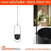 กระถางต้นไม้แขวน modern วินเทจ ร่วมสมัย กระถางต้นไม้ กระถางสวยๆ สีดำ (1ใบ) Hanging Plant Pot Stands Flower Pot Hanger Garden Pots Black Color (1unit)