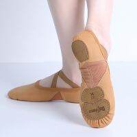 hot【DT】 Ballet Shoes Soft Three Split Sole Stretch Fabric Mesh Splice Slippers