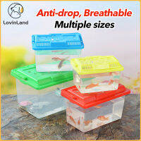 แบบพกพา Mini Aquarium FishTank Pet Breeding Square กล่องสำหรับสัตว์เลื้อยคลาน TransportHamster Breeding และปีนเขาเต่ากล่อง