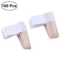 Pack Of 100 Racing Flag Toothpicks Flag Picks Cocktail Appetizer Toothpicks Fruit Sticks For Cocktail Party Accessory - White