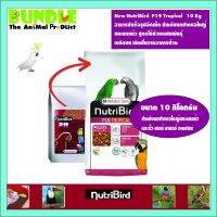 คุ้มสุดๆ New NutriBird P19 Tropical 10 Kg อาหารสำเร็จรูปอัดเม็ด สำหรับนกปากขอใหญ่ และนกแก้ว สูตรใช้ช่วงผสมพันธุ์ ผลัดขน พักฟ ราคาถูก อาหารนกแก้ว อาหารตระกูลนกแก้ว อาหารนกแก้วพันธุ์ใหญ่  อาหารนกแก้วมาคอว์