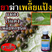 ?สูตรเข้มข้น?สารกำจัดเพลี้ย ยาเพลี้ยไฟ 500 ซีซี เพลี้ยแป้งที่ราก เพลี้ยแป้งญี่ปุ่น เพลี้ยหอย เพลี้ยจั๊กจั่น ยาฆ่าเพลี้ยผัก ไรแดง