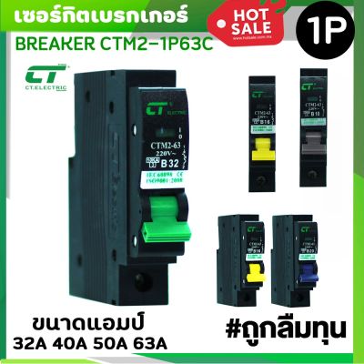 มาใหม่ เซอร์กิตเบรกเกอร์ลูกย่อย Breaker CTM2 รุ่น CTM1-63C 1 Pole 10A-32A แบบเสียบ คุ้มสุดสุด เบรก เกอร์ กัน ดูด เบรก เกอร์ ไฟ บ้าน เบรก เกอร์ 3 เฟส เซฟตี้ เบรก เกอร์