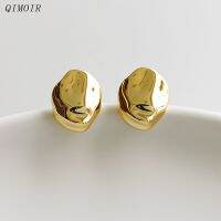 【YP】 Irregular Metal Earrings Small Size Fashion Jewelry New Designer Accessories C1382