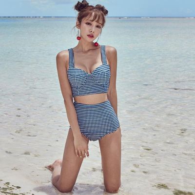 Star with the same paragraph bikini swimwear women r plaid small chest gathered swimsuit female high-waist belly covering slim thin y split swimming suit beachwear