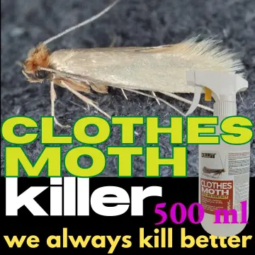 Pantry Moths - Best Price in Singapore - Dec 2023