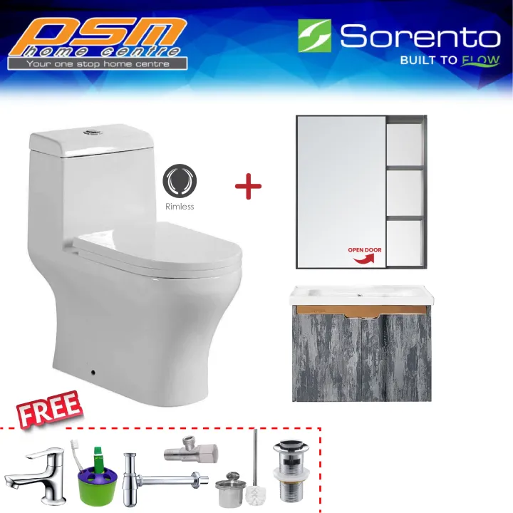 SORENTO One Piece Water Closet Wash Down Flushing System Bathroom Stainless Steel 304 Basin