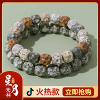 ซิงยิวโพธิ Hainan Gelang Berwarna-Warni Ketumpatan Tinggi Yang Tinggi Membuang Manik Ekologi Asal Buddha