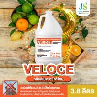 VELOCE (เวโรเช่) สเปรย์ไล่แมลงทุกชนิด │ กลิ่นส้มและตะไคร้ไทย │ ขนาด 3.8 ลิตร