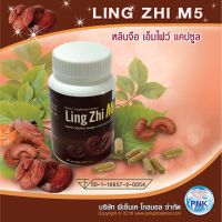 LINGZHI M5  หลินจือ เอ็มไฟว์  แคปซูล