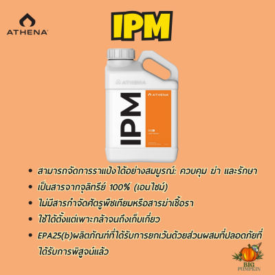 [ส่งฟรี]IPM สารสกัดจากธรรมชาติ ฆ่าเพลี้ย, เพลี้ยแป้ง, ไรแดง, ไรอ่อน, แมลงหวี่ขาว