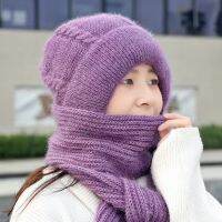 Knitted Cap Guard Thick Ear Fashion Warm Knitting Windproof Integrated Women