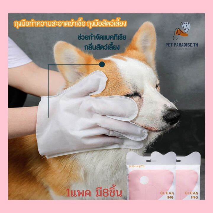 petparadise-th-เซตถุงมือ-ผ้าเช็ดฟัน-ผ้าเช็ดตา-สัตว์เลี้ยงแบบใช้แล้วทิ้ง-ดับกลิ่น-ดูแลผิวสุนัขและแมว-ถุงมือทำความสะอาด