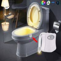 【CW】 8-Color Toilet Night Sensor Activated Bowl Lamp Washroom Accessories