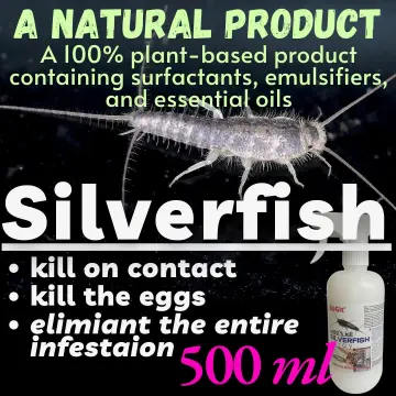 Silverfish Trap - Best Price in Singapore - Apr 2024