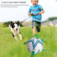 Dog Toys Soccer Ball Interactive Pet Football Toys with Grab Tabs Pet Bite Chewr