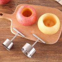 [Hot Sale] Molde De Acero Inoxidable Para Arroz Y Manzana Extractor De Núcleo Grande De Fruta Removedor De Agujeros Roca Azúcar Pera