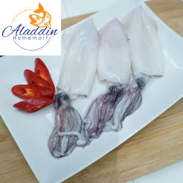 Sotong besar eco ardence