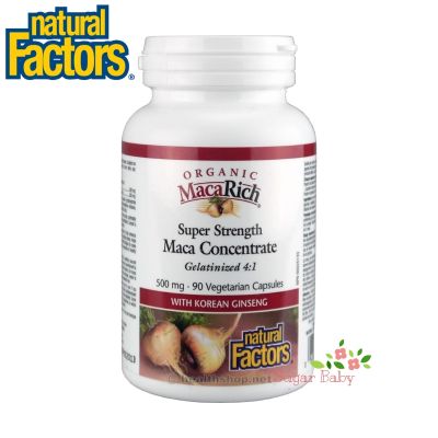 Natural Factors MacaRich Super Strength Maca Concentrate with Ginseng 500 mg 90 Vegetarian Capsules มาคา ผสมโสมเกาหลี 90 เวจจี้แคปซูล