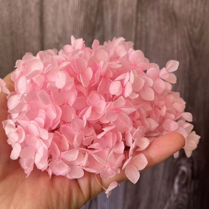 cw-6-6-5g-natural-fresh-preserved-flowers-dried-small-leaves-hydrangea-flower-heads-for-diy-real-eternal-life-flowers-material