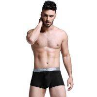 【Hot Sale】Underwear Trunks y Mesh Boxers Fashion for Men