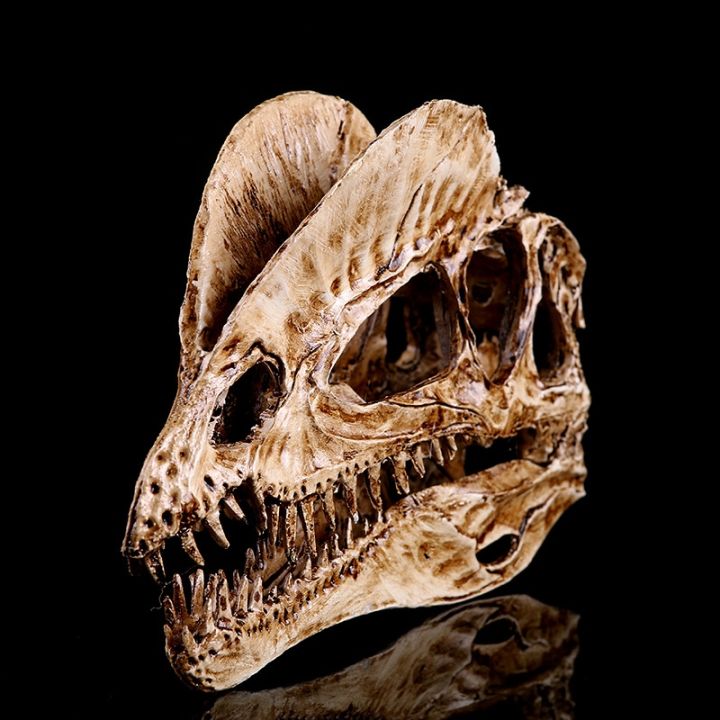 fossilized-dinosaur-head-animal-bones-model-wolf-tyrannosaurus-triangular-bone-furnishing-articles-creative-children-room-decoration
