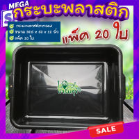 กระบะปลูกผักไฮโดรโปนิกส์ (20 ใบ)?กระบะพลาสติกสีดำ กระบะเพาะเมล็ด กระบะทรายแมว กะบะดำ กระบะใส่ของ ใส่น้ำได้