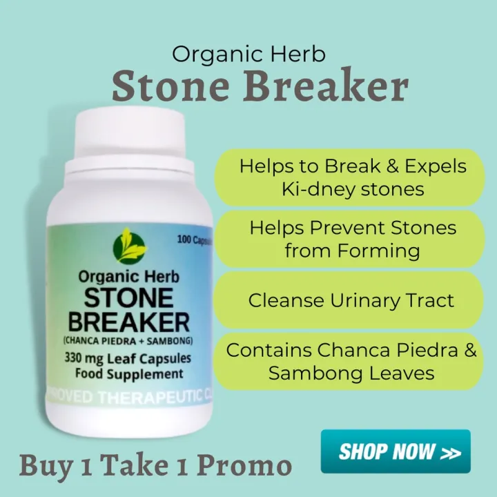 Organic Herb Stone Breaker "Chanca Piedra + Sambong " (Buy 1 Take 1 ...