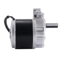 250W 24V Low Speed Brush Motor, 44mm Longer Shaft, Shaft Diameter 17mm , Wheel Chair Used DC Gear Brushed Motor