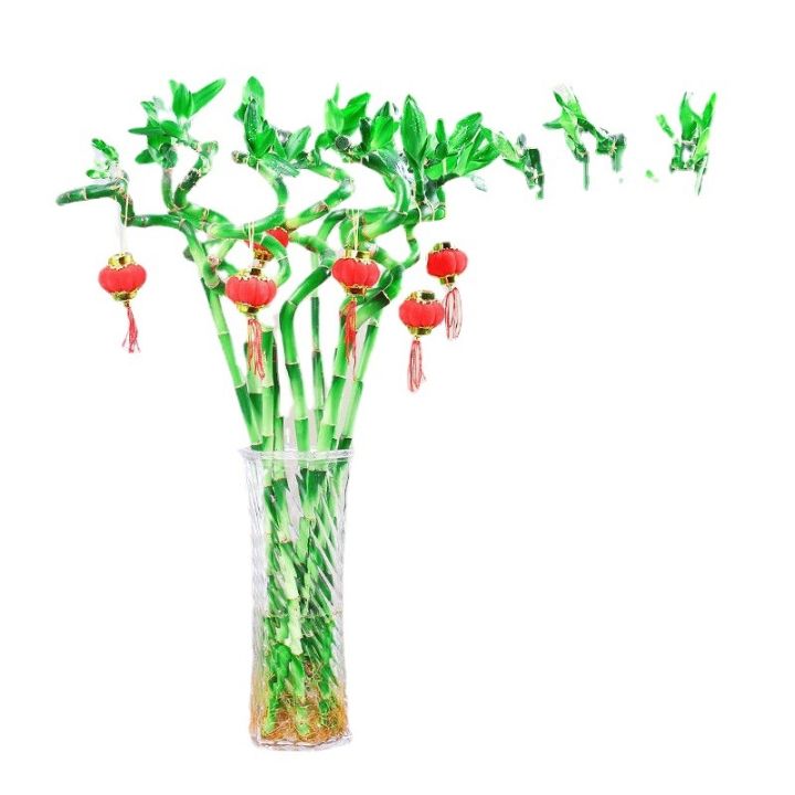 cod-sends-lantern-flowers-to-curved-indoor-potted-hydroponic-manufacturers-wholesale