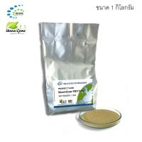 iKnowZyme Phytase Powder เอนไซม์ไฟเตส ขนาด 1 กิโลกรัม