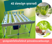 ชุดปลูกผัก ไฮโดรโปนิกส์ 12, 15, 42ช่อง ครบชุดพร้อมปลูก ได้กินผักทุกวัน Home hydroponics system. #Easy to assemble system พร้อมคู่มือการประกอบ