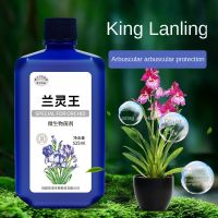 Orchid Special Nutrient Solution 525Ml Fertilizer EM Bacteria Clivia Nutrient Solution Phalaenopsis Jianlan Molan Dendrobium