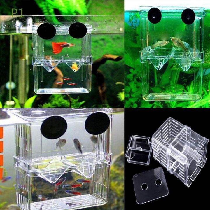 P1 Sucker Floating Design Double Guppies Hatching Fish Breeding Box ...